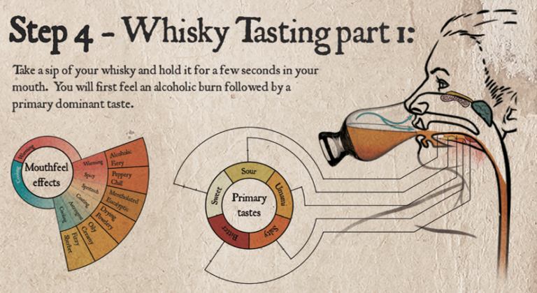 How to taste Whisky at home?