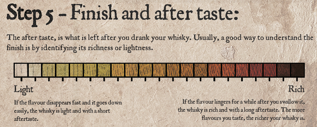 How to taste Whisky at home?