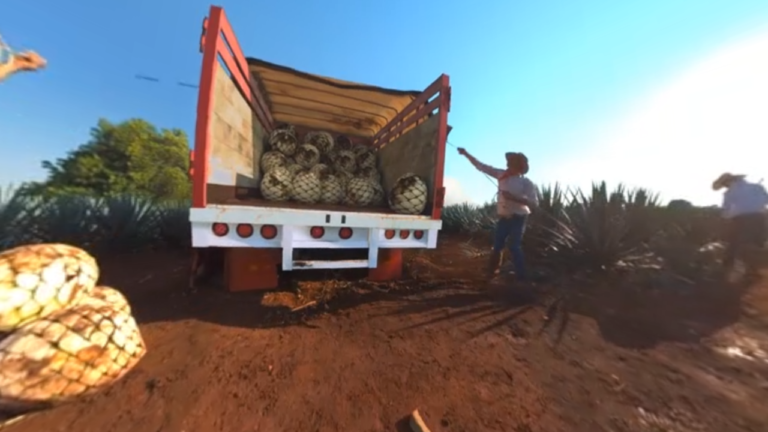 The 7 BEST virtual whisky tours you can do at home for free (2020)