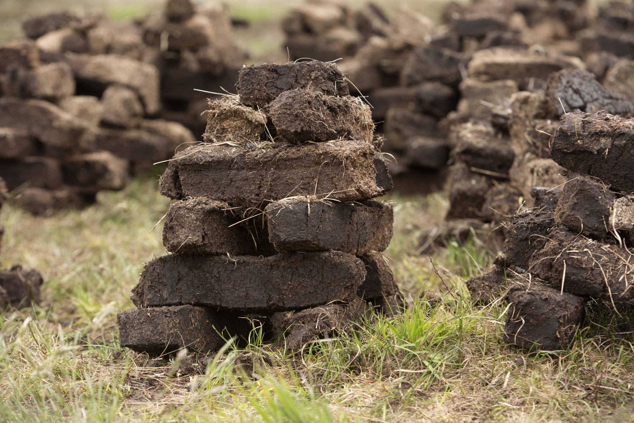 Whisky Experience at Home with Once Upon a Whisky