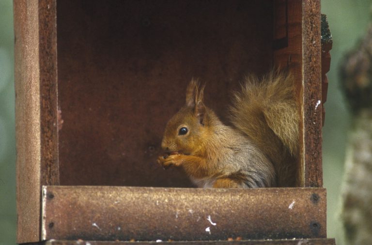 Whisky Route #2: Speyside