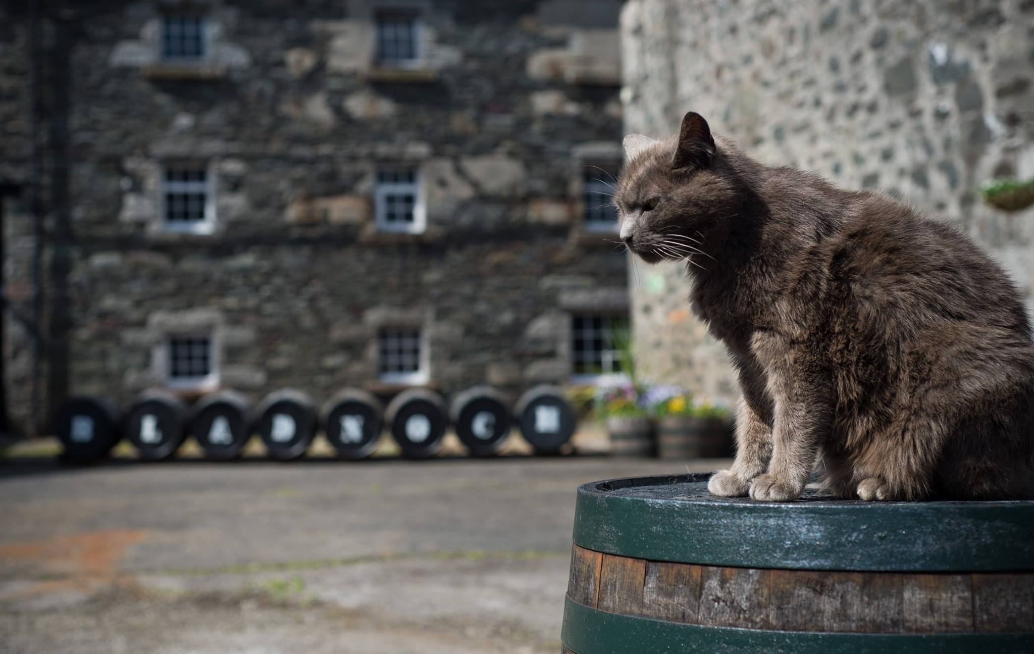 Whisky Route #4: The Lowlands